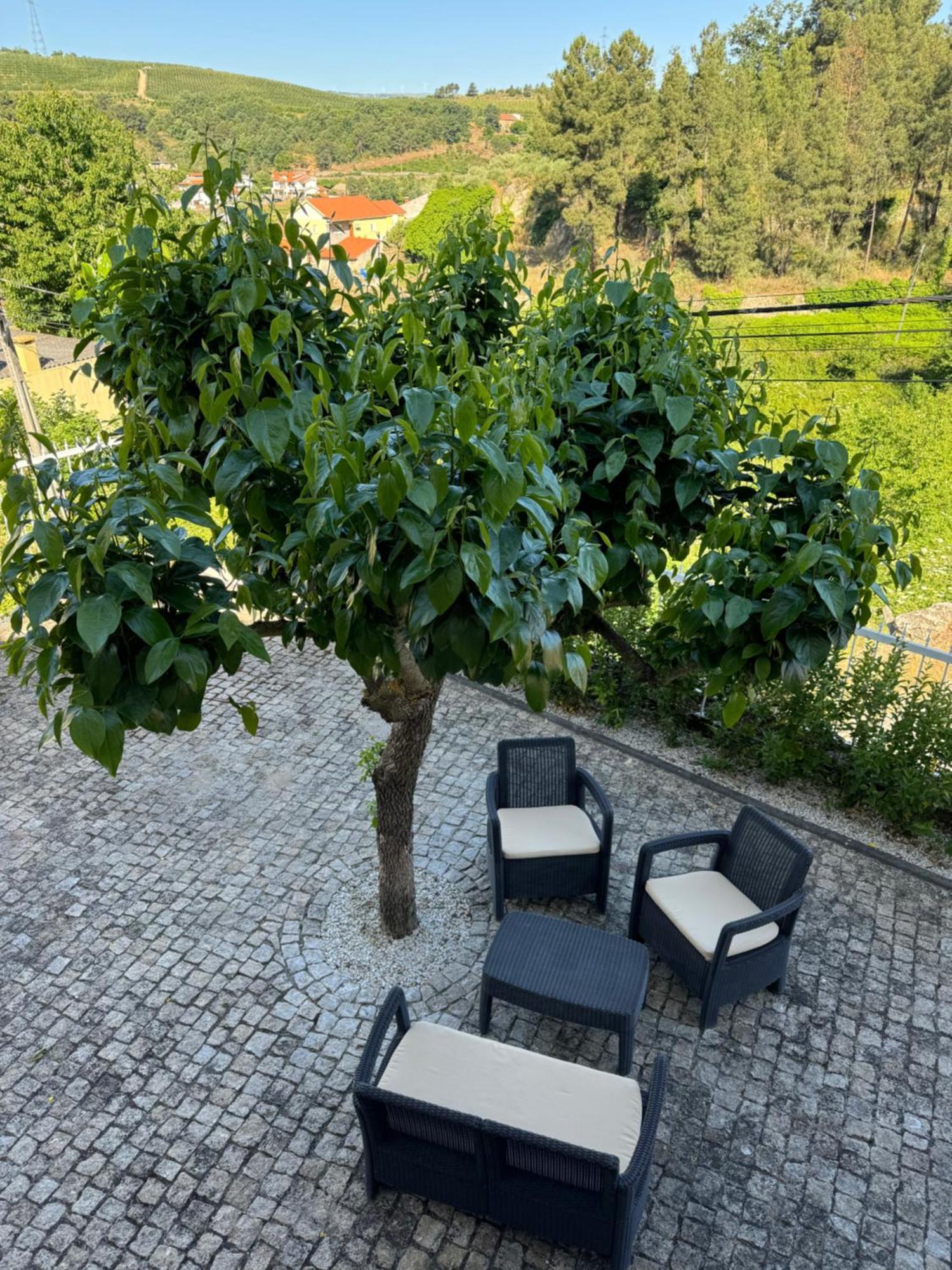 Stone House Villa Salzedas Bagian luar foto